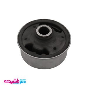 بوش طبق بزرگ جیلی امگراند