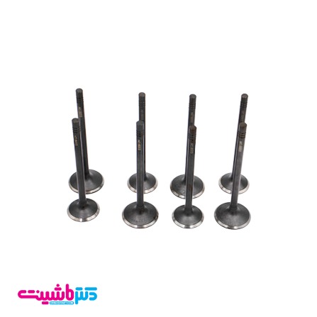 IMG 0906 سوپاپ چری کوئین