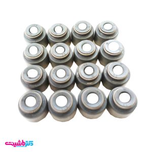 لاستیک سوپاپ ام وی ام ایکس 33